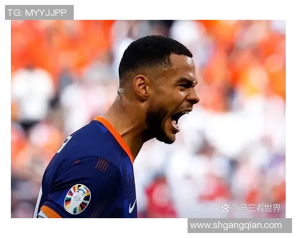 双星闪耀绿茵场 聚焦足球世界中的顶级明星与精彩对决 双星闪耀绿茵场 聚焦足球世界中的顶级明星与精彩对决