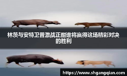 林茨与安特卫普激战正酣谁将赢得这场精彩对决的胜利
